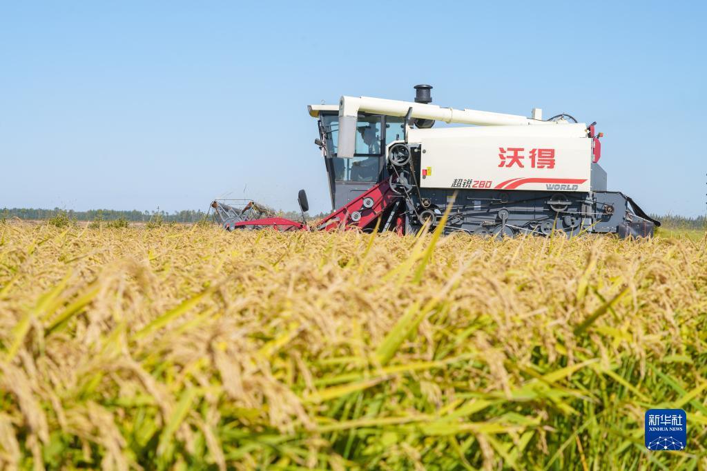 608cc 威尼斯一站